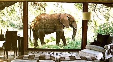 Room With A View, South Africa