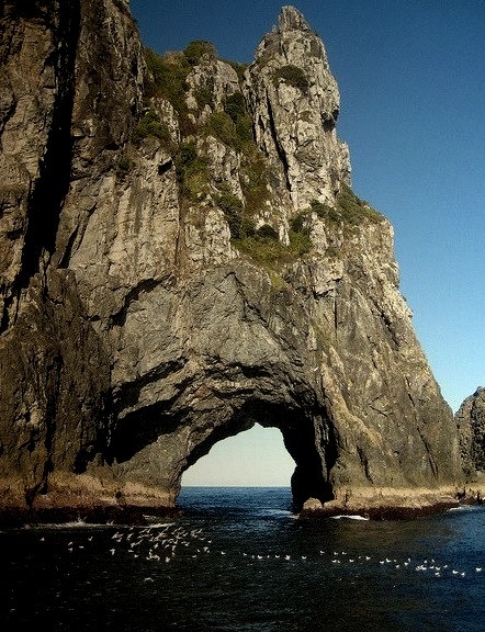 The Hole in the Rock on the Bay of Islands, New Zealand