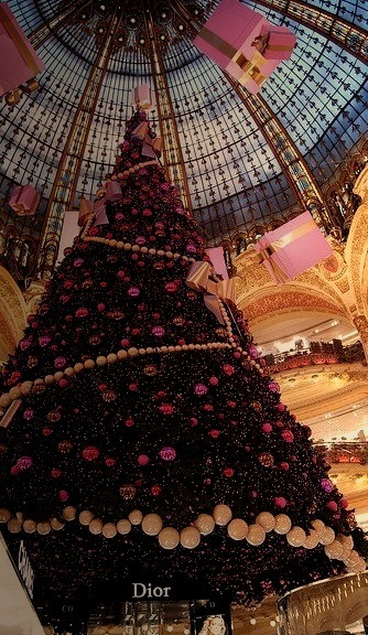 The Christmas tree, Gallerie Lafayette, Paris, France